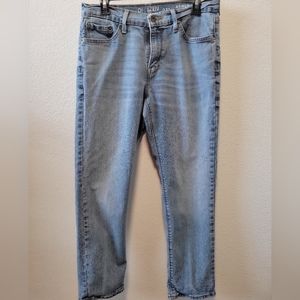 Denizen Levis